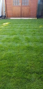 entretien de jardin